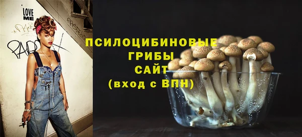 шишки Алексеевка