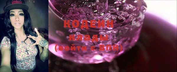 прущие грибы Алзамай
